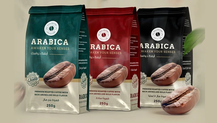 Web Design & Development Icon