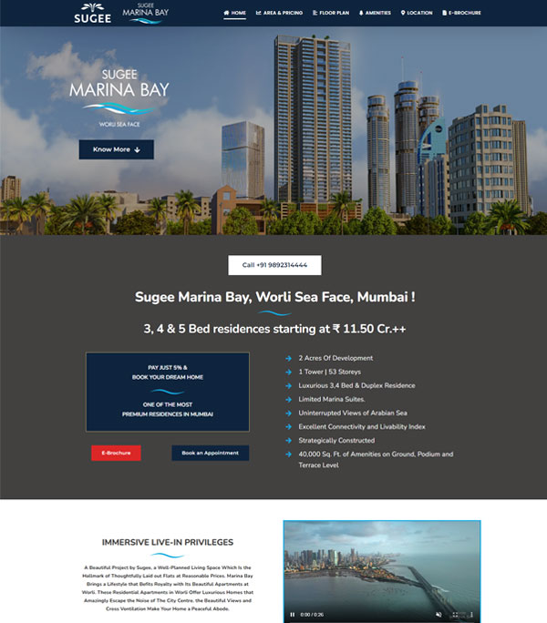 Website Design & Development Services